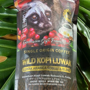 LUWAK coffee - Luwak coffee roasted beans from Bali Indonesia - Wild Kopie Luwak - Arabica blend - Premium 100 % natural coffee - 250 g net