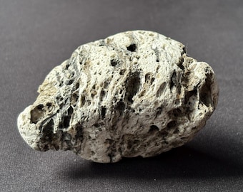 Pedra-pomes de Krakatoa: Relíquia da erupção vulcânica de 1883 (71g)