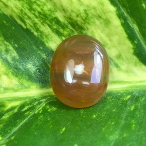 Könnte beinhalten: Ein glatter, ovaler, durchscheinender Edelstein mit einem braunen und weißen Wirbelmuster. Der Edelstein liegt auf einem grünen Blatt.