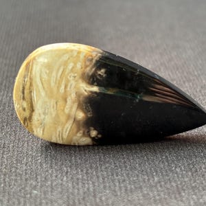 Petrified Palm Root Cabochon - Hand Polished - Fossil Gemstone from Indonesia - for Collectors and Jewelry Designers - natural - 8.7 g