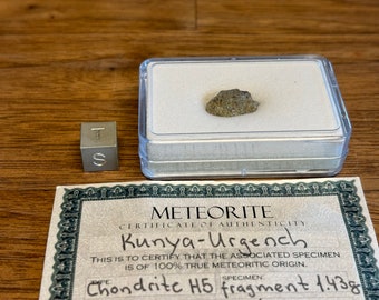Meteorite KUNYA-URGENCH - Chondrite H5 - fell June 1998 in Central Asia - TKW 1'100 kg - fragment - 1.43 g