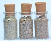 Atacama Desert Sand Samples: Chile, Imilac Meteorite Field (36.5g)