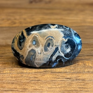 Petrified Fossilized Palm Root Cabochon - Natural - Java - Indonesia - amazing - both sides mirror polished - black-beige colored - 6 g