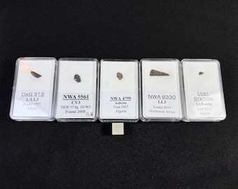 3 Rare Meteorites – Udei Station - Nwa 5561 - Dag 313 - Authentic Space Fragments - choose from variation