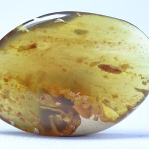 May include: A smooth, oval-shaped piece of amber with a yellow-brown color and brown and white inclusions.