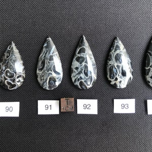 Petrified Fossilized Palm Root Cabochons - Natural - Java - Indonesia - amazing - both sides mirror polished - black-white-blue colored
