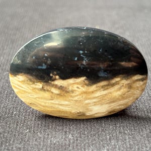 Petrified Palm Root Cabochon - Hand Polished - Fossil Gemstone from Indonesia - for Collectors and Jewelry Designers - natural - 8.9 g