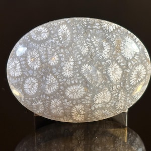 Petrified Coral Cabochon: Hand-Polished Fossil Gemstone for Jewelry