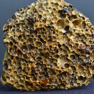 Puede incluir: Primer plano de una roca marrón y amarilla con una textura similar a un panal. La roca está cubierta de pequeños agujeros redondos.