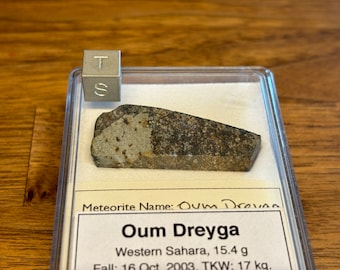 Meteorite OUM DREYGA - Chondrite H 3-5 - fell October 2003 in the Western Sahara - Africa - very nice part slice - 15.4 g