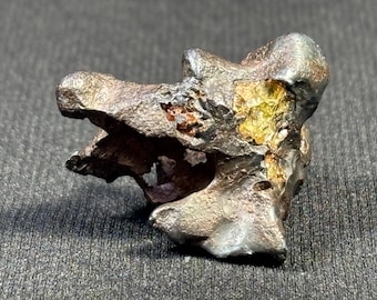 IMILAC meteorite Pallasite - absolutely amazing &quot;skeleton&quot; - rare in this shape - found in the Atacama Desert in Chile - top quality 16.9 g