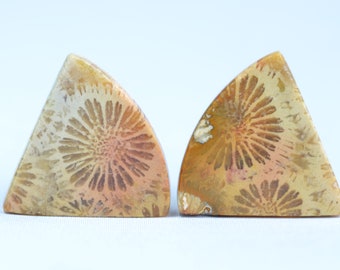 Pair Natural Coral Cabochon fossil - petrified - from Indonesia- Top Quality - mirror polished on all sides - amazing specimen natural 3.6 g