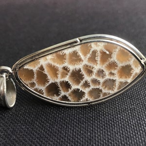 Puede incluir: Un colgante de plata con un coral fosilizado en un esquema de color marrón claro y blanco. El coral tiene un patrón de panal único.