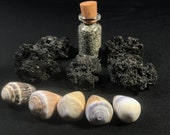 Krakatau Volcanic Rock, Sand & Shell Set - 1883 Eruption Relics
