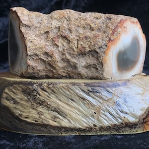 Pode incluir: Uma laje de madeira petrificada com um padrão de ágata natural branco e cinza, exibida em uma base de madeira.