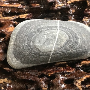 May include: A smooth, gray stone with a distinctive circular pattern on its surface. The stone has a white line running through the center of the pattern.