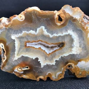 Peut inclure: Une section polie d'agate, révélant des bandes concentriques de couleurs. La pierre présente une cavité centrale entourée de couches blanches, marron et beige. Le bord extérieur a une texture brute et naturelle.