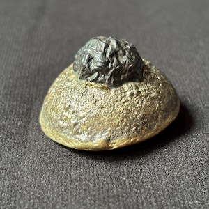 Pedra da Profecia de Ferro Natural: Java Batu Basar Besi em Base de Latão (70g)