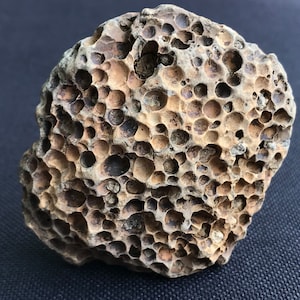 Puede incluir: Una roca porosa de forma irregular con una superficie rugosa y texturizada. La roca es principalmente de color marrón y beige, con numerosos agujeros pequeños y redondeados. La apariencia general sugiere una formación geológica natural, posiblemente de origen volcánico.