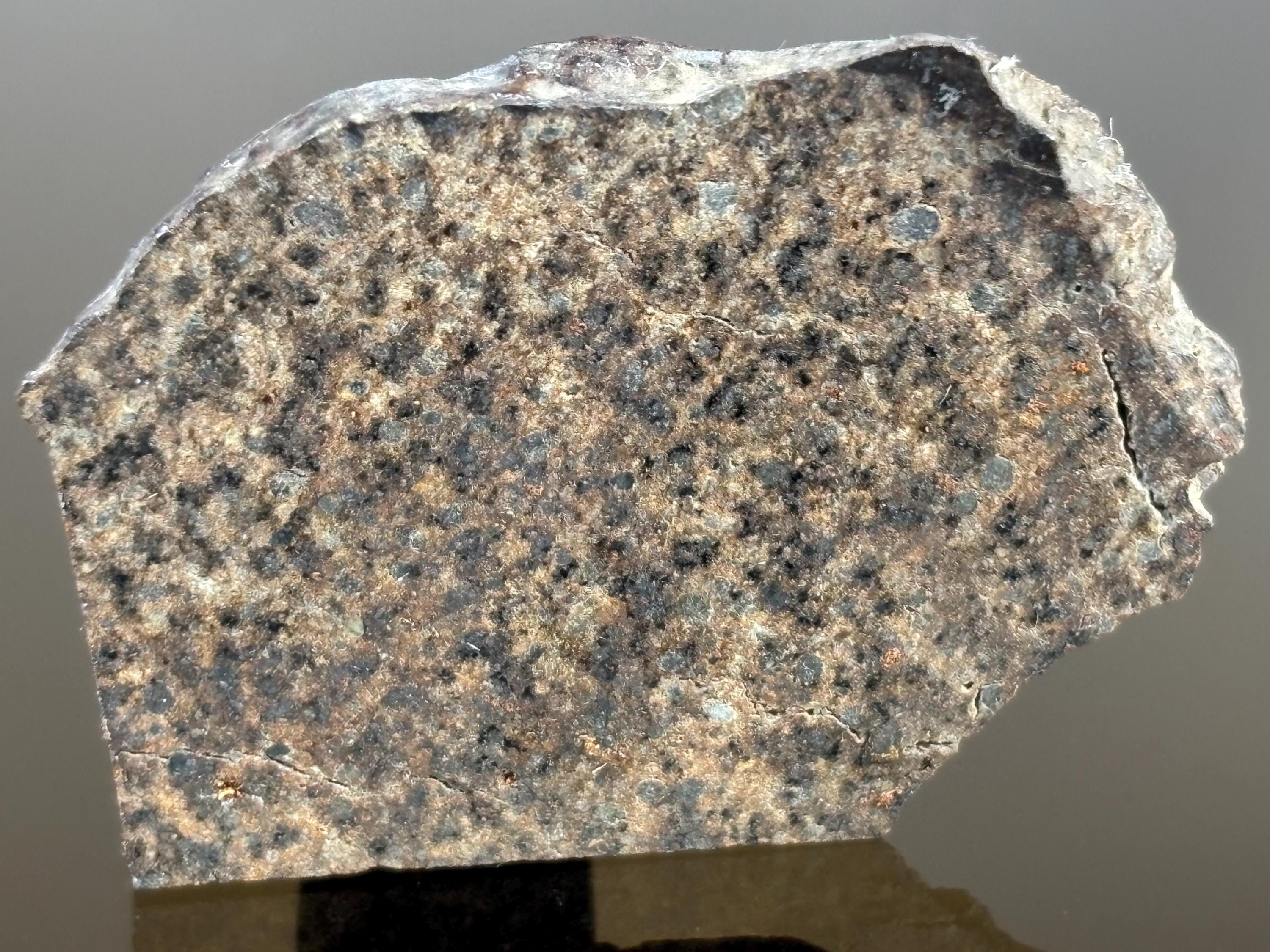 Reggane 003 Meteorite Slice: Algeria H4 Chondrite, Spacejewels