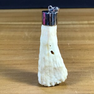 Puede incluir: Un colgante de coral blanco con una anilla de plata. El coral es rugoso y texturizado, con algunos pequeños agujeros. El colgante mide aproximadamente 5 cm de largo.