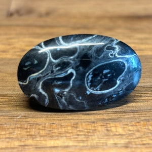 Petrified Fossilized Palm Root Cabochon - Natural - Java - Indonesia - amazing - both sides mirror polished - black colored - 4 g