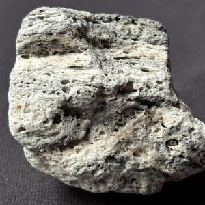 Puede incluir: Primer plano de una muestra de roca porosa y texturizada. La roca es principalmente gris y blanca con inclusiones de color gris oscuro y negro. La superficie tiene numerosos agujeros pequeños y una apariencia en capas, lo que sugiere un origen volcánico.