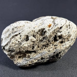 May include: A close-up of a gray and white porous rock with a rough, textured surface. The rock has a heart-like shape and is covered in small holes.