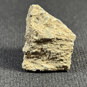 Tuxtuac Chondrit Meteorit Fragment: Seltenes LL5 Exemplar, Zacatecas Mexico