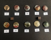 Indonesian Moss Agate Cabochon: Polished Landscape Stone (4-6g)