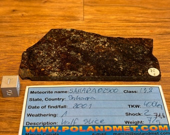 Meteorite SAHARA 02500 - Chondrite L3.8 - found 2001 in the Sahara Desert - Africa - large part slice - mirror polished - 71.6 g