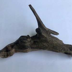 Può includere: Un pezzo di legno trasportato dall'acqua con un aspetto naturale e invecchiato. Il legno è di colore marrone scuro con una consistenza ruvida e diversi rami sporgenti. Il legno trasportato dall'acqua viene probabilmente utilizzato per l'arredamento della casa o progetti artigianali.