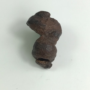 May include: A dark brown, irregularly shaped rock with a rough, textured surface. The rock is shaped like a twisted, elongated S.