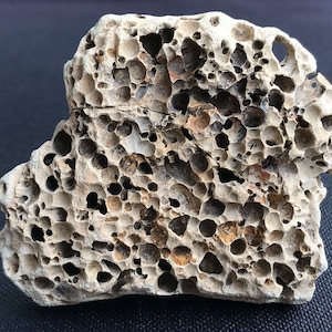 Puede incluir: Primer plano de una roca gris claro porosa con muchos agujeros pequeños. La roca tiene una superficie rugosa e irregular y está cubierta de pequeñas manchas grises oscuras y marrones.