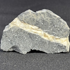 Puede incluir: Una roca gris oscura con una veta blanca que la atraviesa. La roca tiene una superficie rugosa y texturizada.