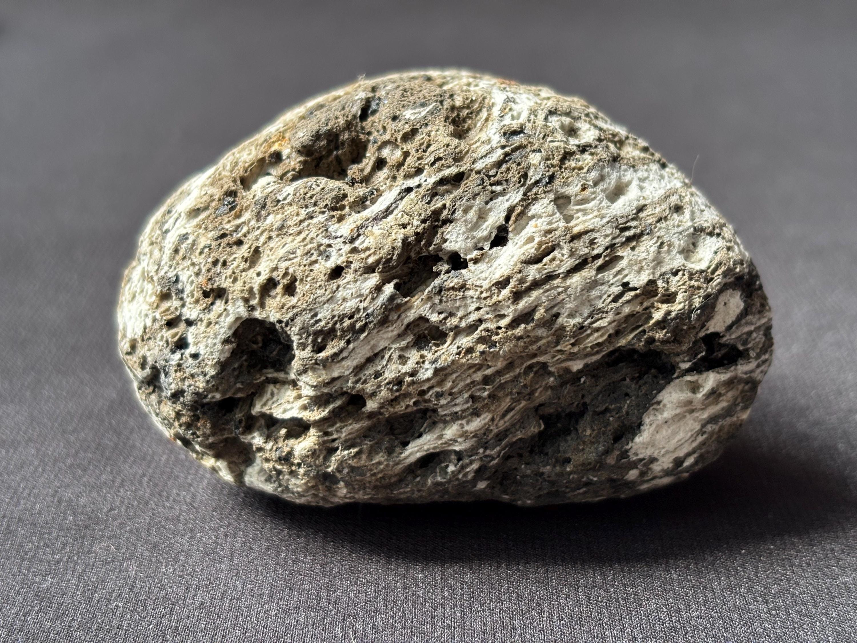 Krakatoa Pumice Stone: Historic 1883 Volcanic Eruption Relic (63g