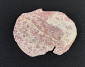Natural Desert Stone - Western Desert of Egypt - White Desert Farafra - amazing shape and color - pink-beige colored - amazing - 36.5 g
