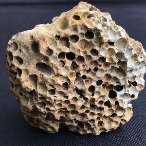 Puede incluir: Primer plano de una roca porosa de color marrón claro con una textura similar a un panal de abejas. La roca tiene muchos agujeros pequeños y una superficie rugosa.