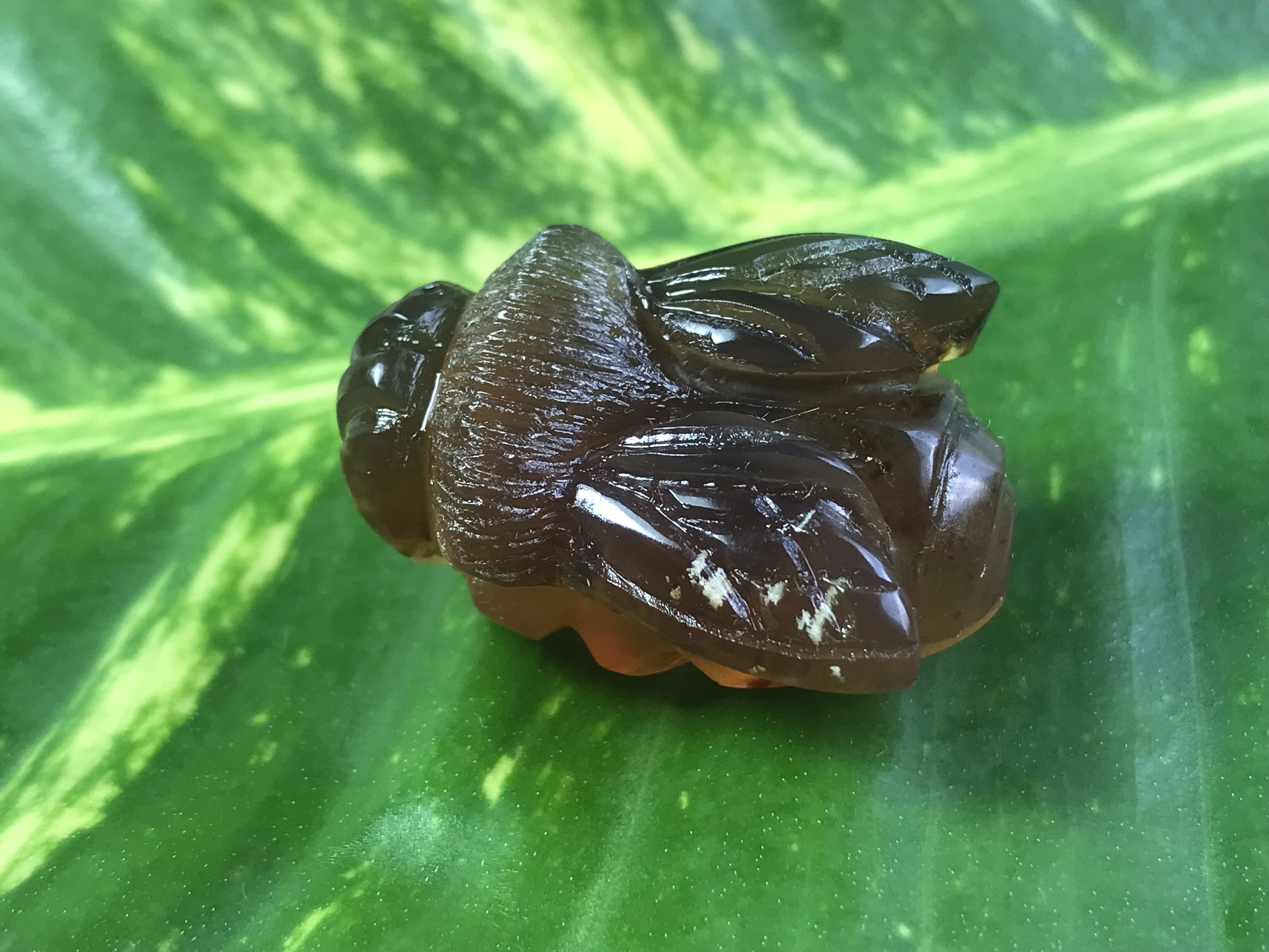 古平戸 貝 青海波紋 水滴 DT355 BEE - Carved From Blue Natural AMBER From Indonesia