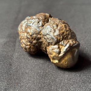 Profetiesteen: Natuurlijke Batu Basar Besi-ijzersteen - Java, Indonesië - gesneden - 85 g