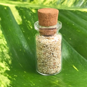 WATUKARUNG - beach sand sample - from Pacitan - Java- Indonesia - Natural - self collected - amazing specimen - yellow grains -  11.8 g