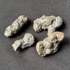 以下が含まれることがあります： 不規則な形をした、濃い灰色と茶色の4つの岩。表面はざらざらとした質感です。岩は濃い灰色の背景に表示されています。装飾用の石や自然の標本かもしれません。