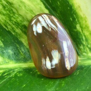 Puede incluir: Una piedra de ágata pulida y lisa con bandas marrones y blancas. La piedra tiene forma ovalada y un acabado brillante.