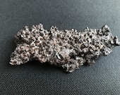 Pseudomorph - Egypt - Amazing - Hematite Goethite after Marcasite - Prophecy Stone - White Desert Egypt - Farafra - Unique shape - 71.6 g