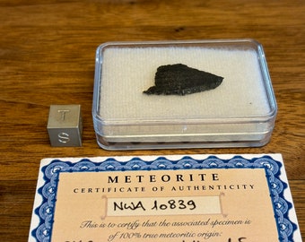 Meteorite NWA 10839 - CK6-an - found 2016 in Mauretania - Africa - TKW 457 g - part slice - 1.5 g