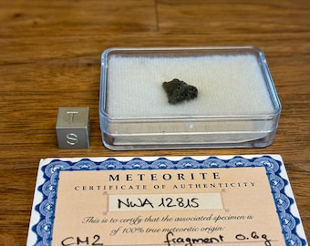 Meteorite NWA 12815 - CM2 - Carbonaceous Chondrite - found 2019 in Morocco - TKW 10 g - fragement - 0.6 g