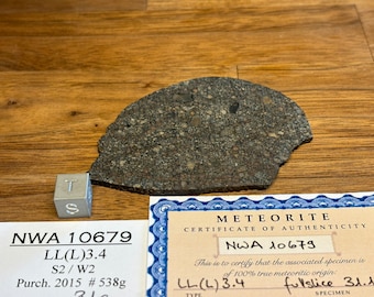 Meteorite NWA 10679 - Chondrite LL(L) 3.4 - found 2015 in Northwest Africa - TKW 538 g - amazing slice - 31.1 g