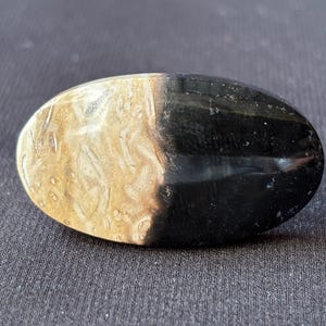 Petrified Palm Root Cabochon - Hand Polished - Fossil Gemstone from Indonesia - for Collectors and Jewelry Designers - natural - 10 g