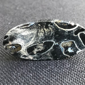 Petrified Fossilized Palm Root Cabochon - Natural - Java - Indonesia - amazing - both sides mirror polished - black-white colored - 6.1 g