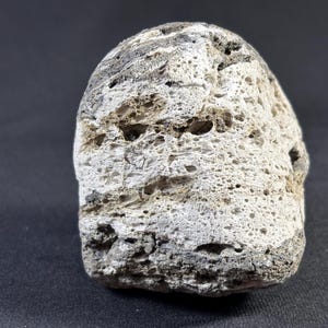 Peut inclure: Gros plan sur une roche poreuse gris clair et brun à la texture rugueuse.